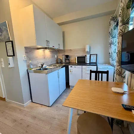 Sentrum 1-room Lägenhet *