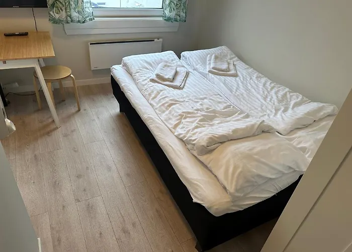Lägenhet Sentrum 1-room